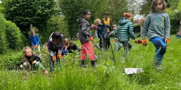 Ackern im Juni 2024