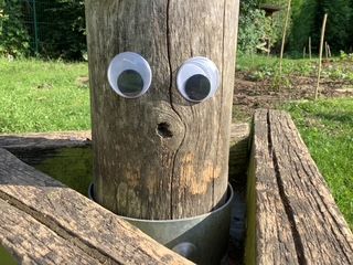 image23.jpeg