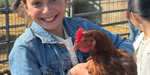 Osterferien in der OGS