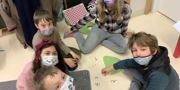 Bären sind 100 Tage klüger