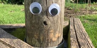 LandArt im Kunstunterricht mit Frau Zouhir