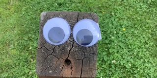 LandArt im Kunstunterricht mit Frau Zouhir