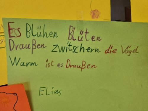 20250515_113207.jpg