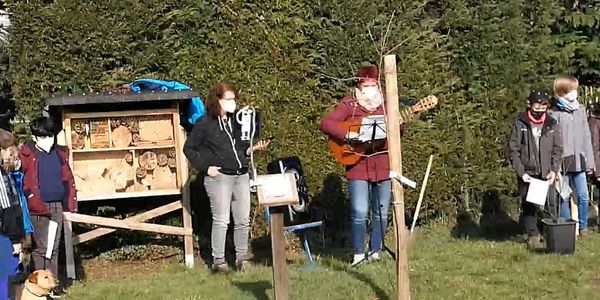 1000 Bäume-Projekt in Pannesheide