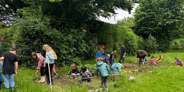 Ackern im Juni 2024