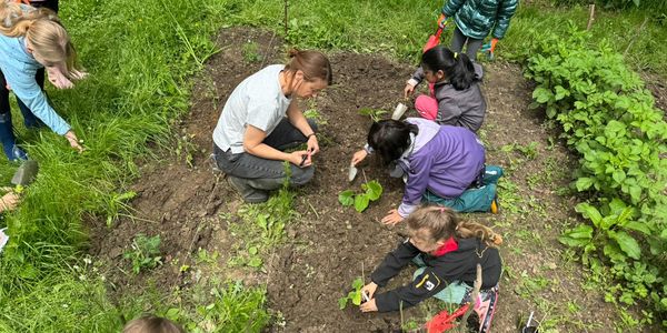 Ackern im Juni 2024