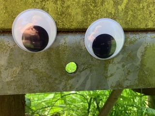 image13.jpeg