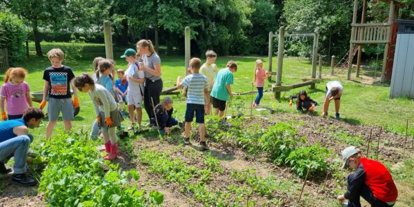 Ackern im Juni