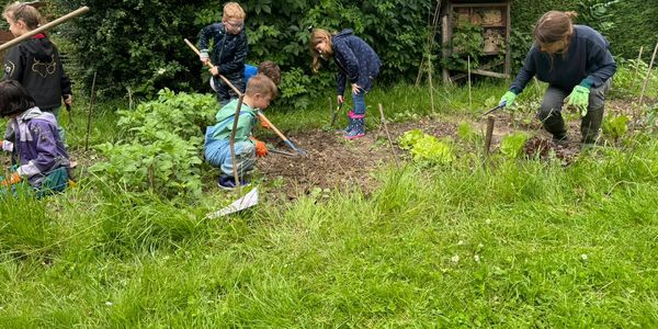 Ackern im Juni 2024