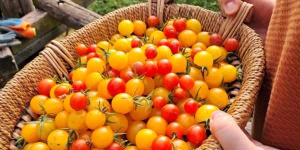 Endlich wieder auf dem Acker