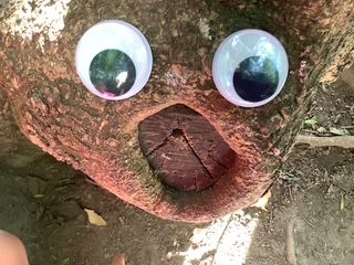 image17.jpeg